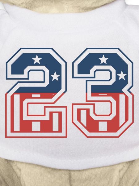 Number 23 USA
