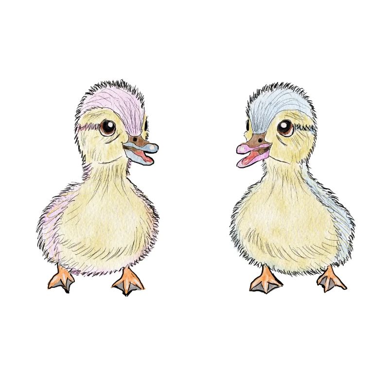 Two Little Ducks