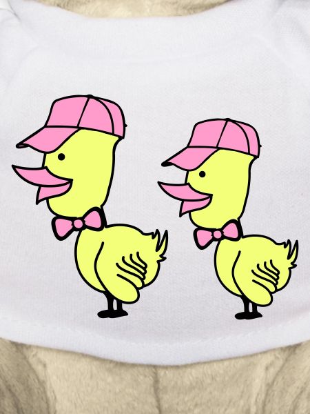 Bonnet de canard