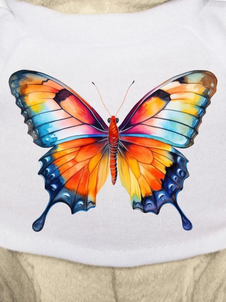 Spring Butterfly