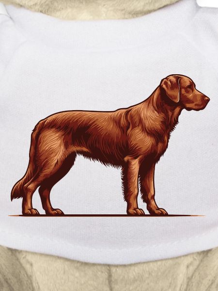 Chesapeake Bay Retriever