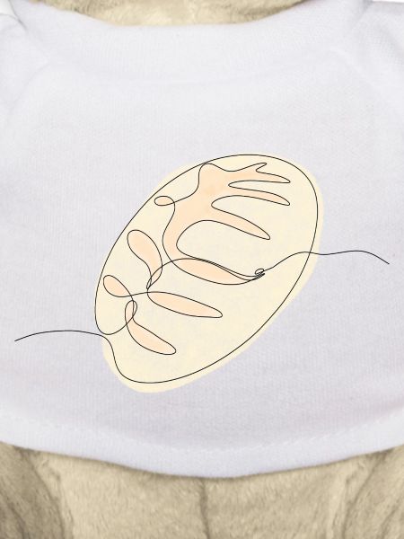 Sourdough bread Line Art Drawing