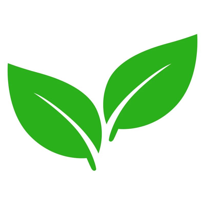 Illustration de feuilles vertes