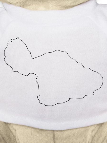 Maui map