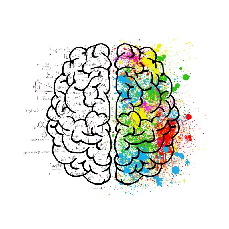 Art du cerveau