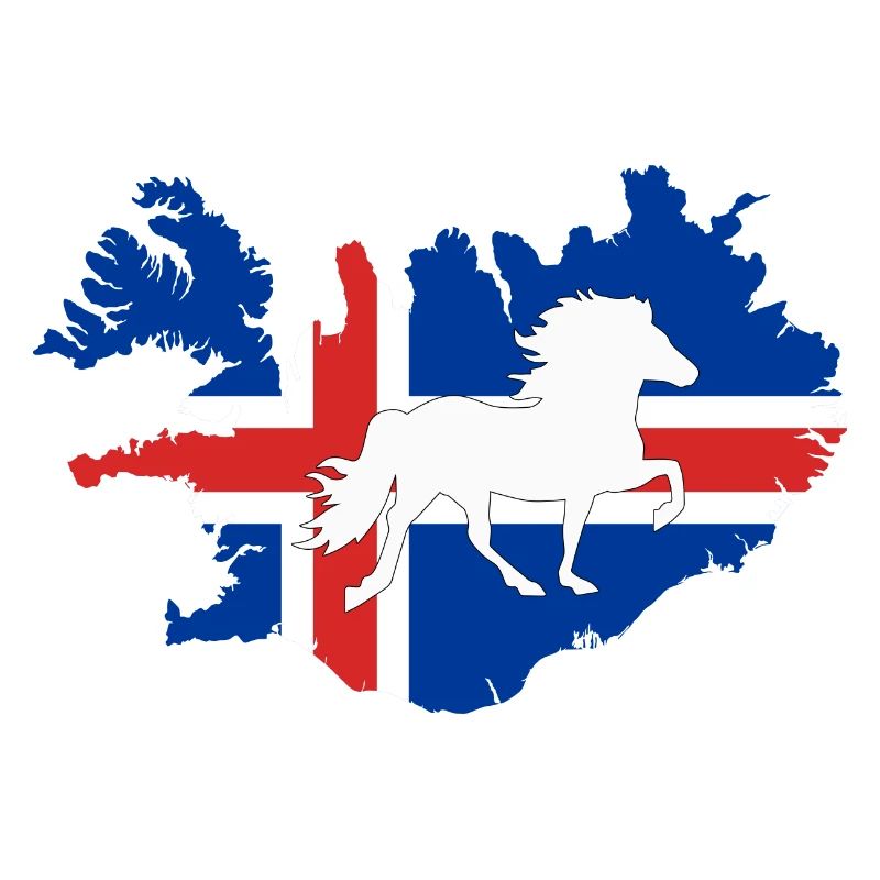 isländer icelandic horse