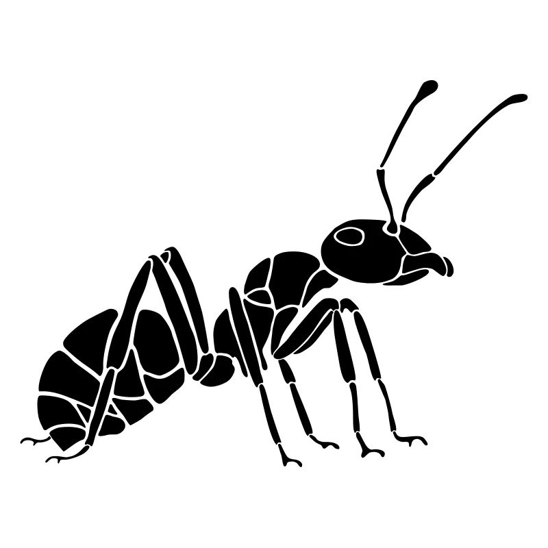 Ant