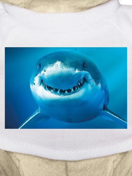 Requin souriant sous l’eau