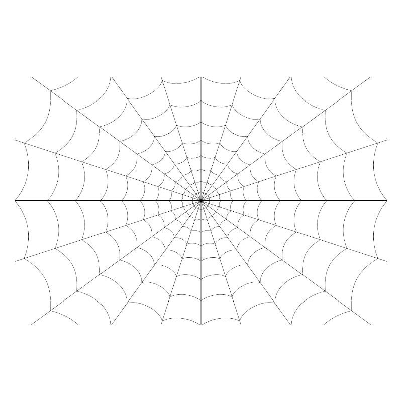 Spinnennetz