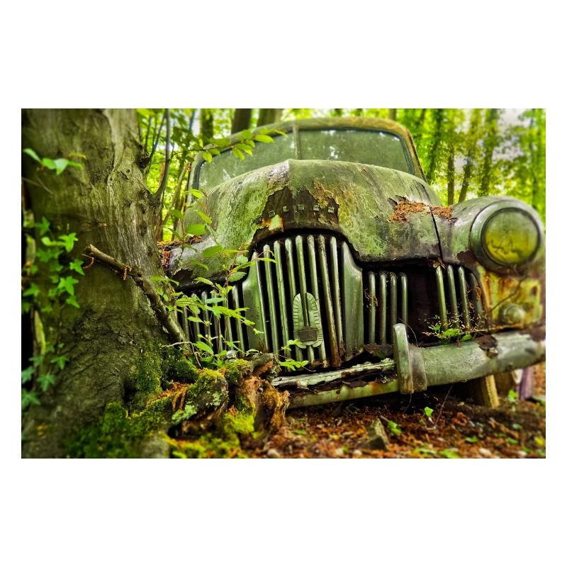 Waldverfall: Rostige Autoüberreste