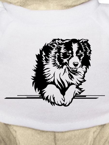 Australian Shepherd