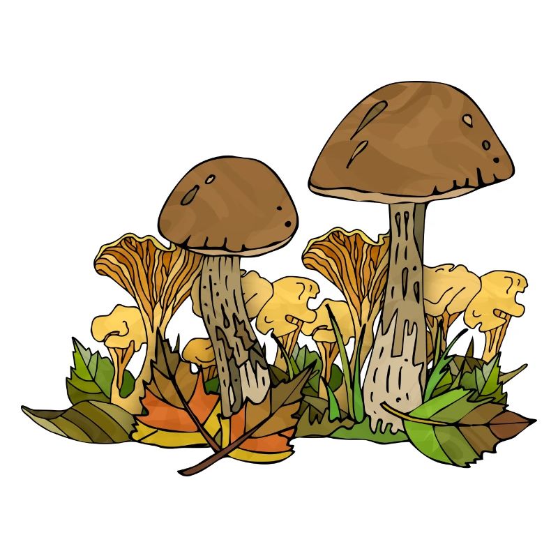 Pilze