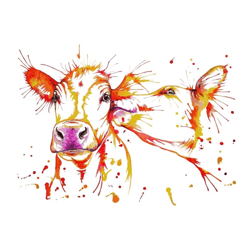vaches