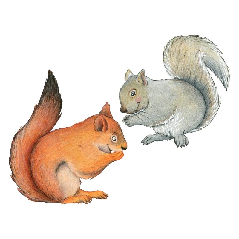 Lustige Hörnchen