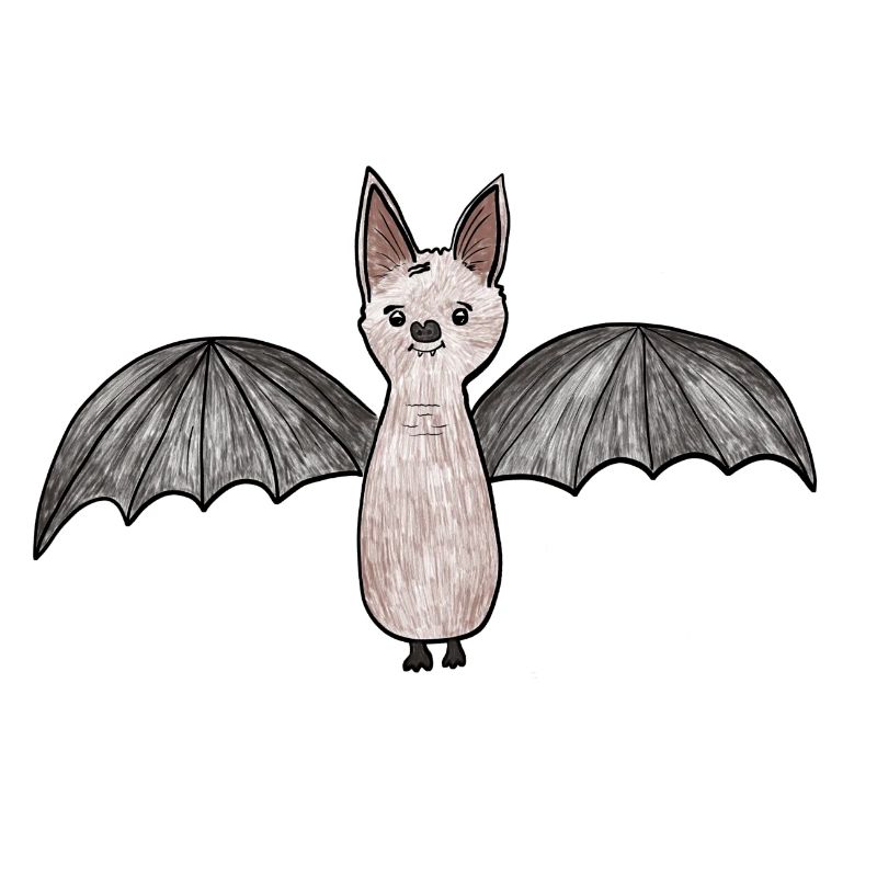 Fledermaus-Phantom Illustration