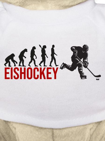 Evolution Eishockey