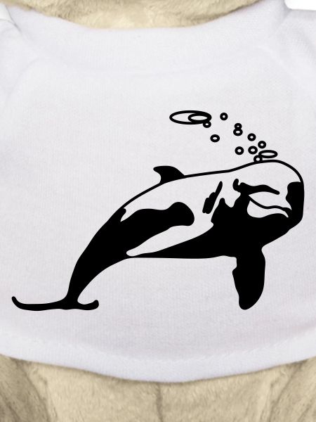 Delfin