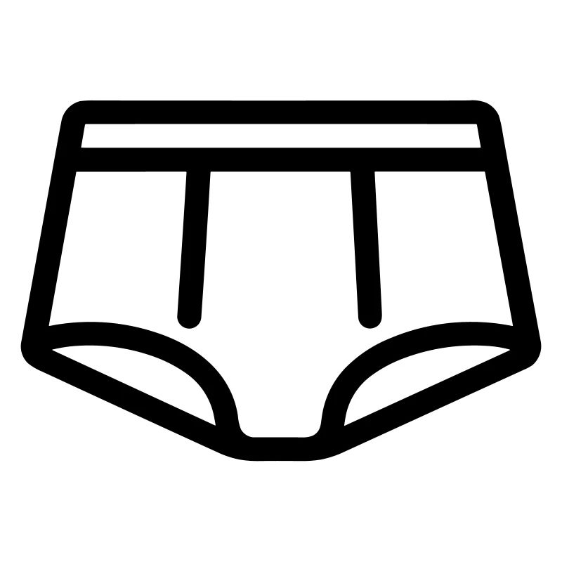Briefs