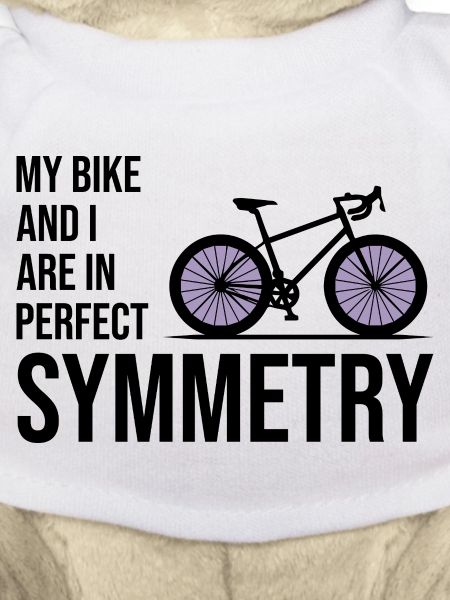 Professional Bicycle Acrobatics Equilibrium Art 