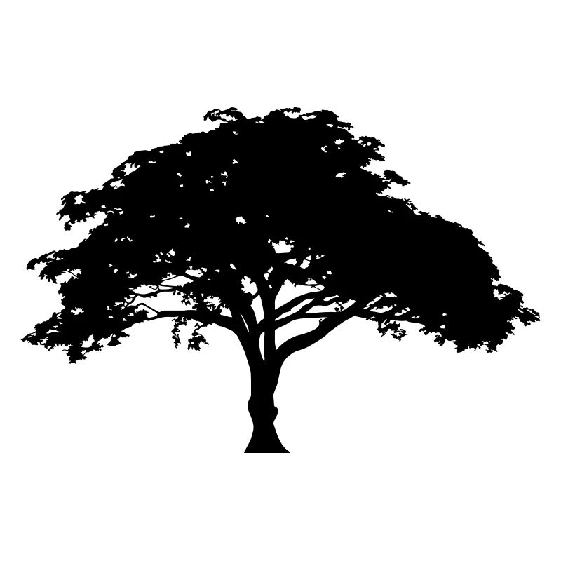 Baum