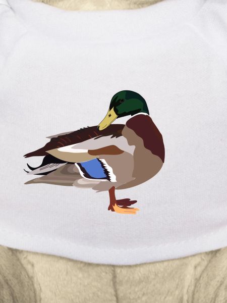 duck