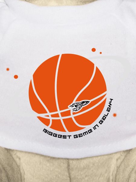 Planet Sport Basketball