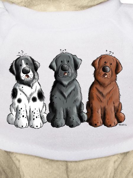 Three Newfoundland Dogs