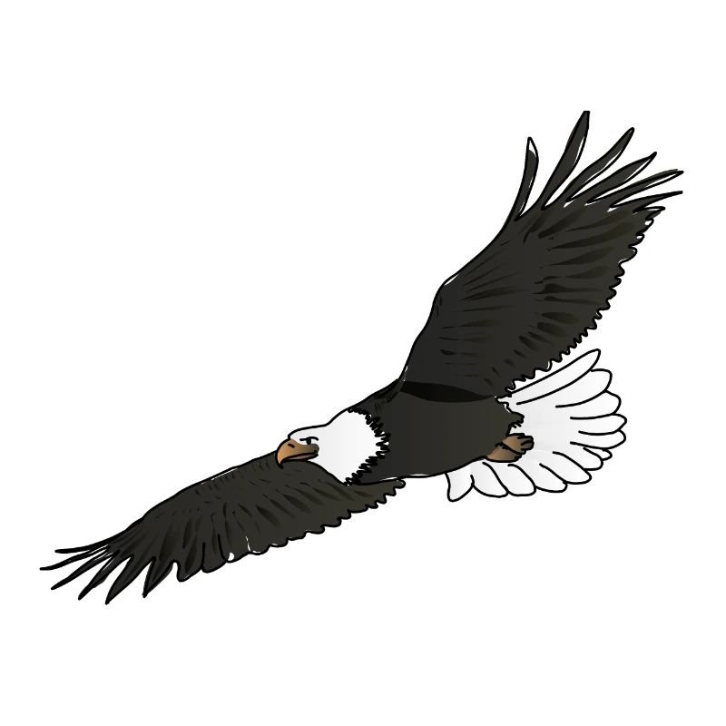 The eagle / The eagle