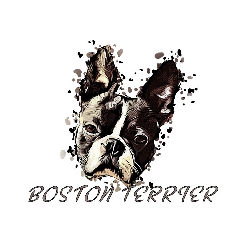 Boston Terrier Comic