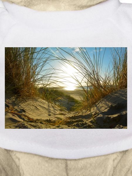 Dune idyll