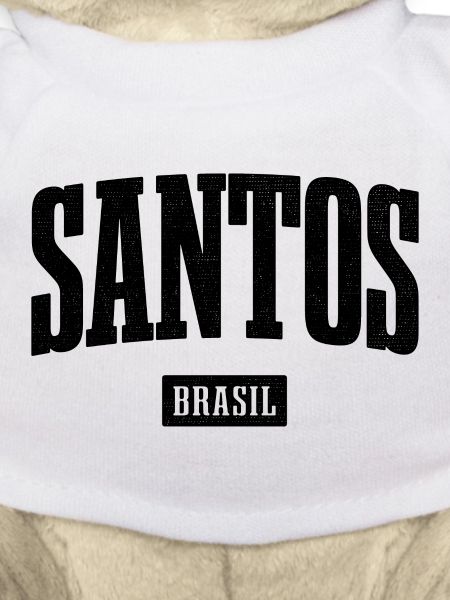 Santos Brasil Bold Lettering