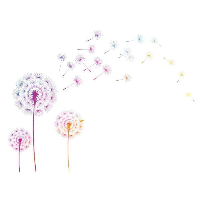Pusteblume Farb Splash