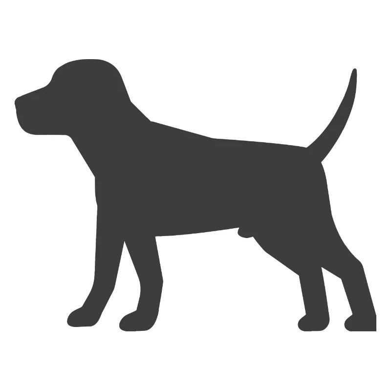 Hund