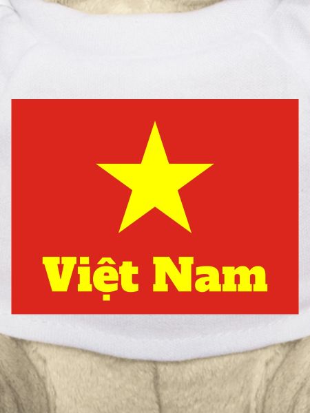 Vietnamese Flag