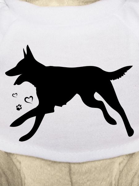 Belgian Malinois Shepherd Dog