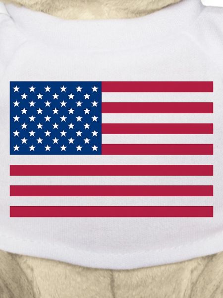 Dark Red American Flag