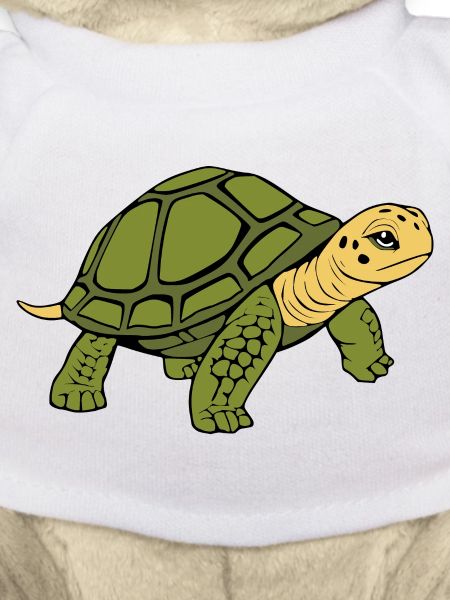 Schildkröten Schildkröten