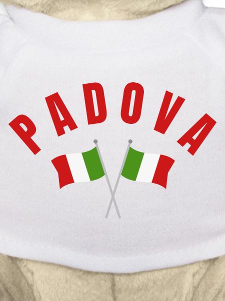 Padova Crossed Italian Flags