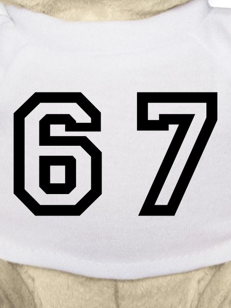 Number - 67 - Sixty Seven