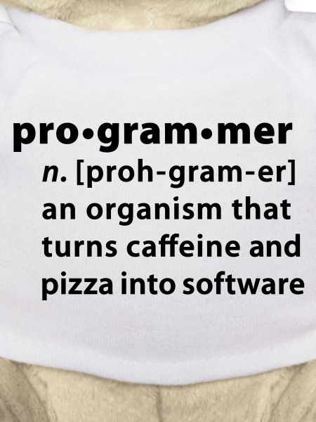 Programmer dictionary definition