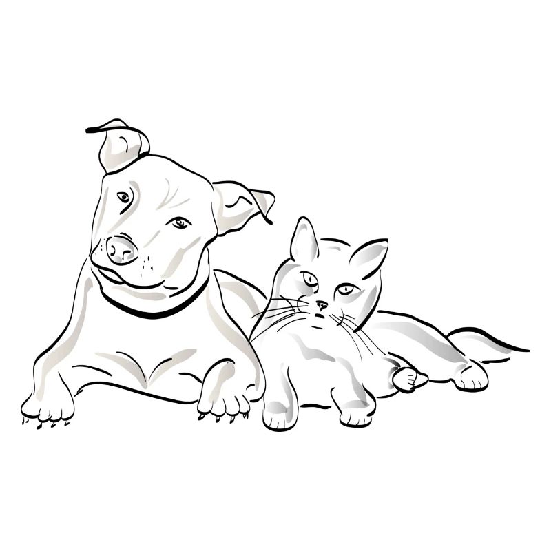 Cat Dog