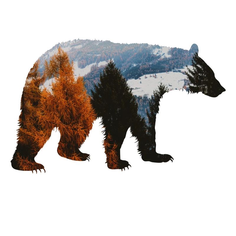 Bärenwald-Abenteuer