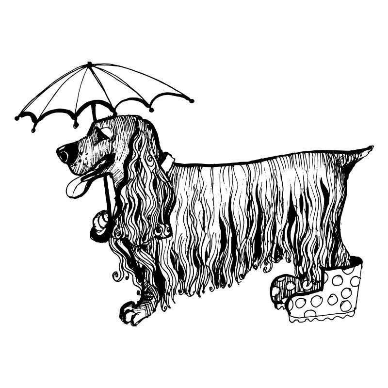 Cocker spaniel