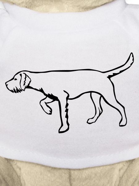 Magyar Vizsla