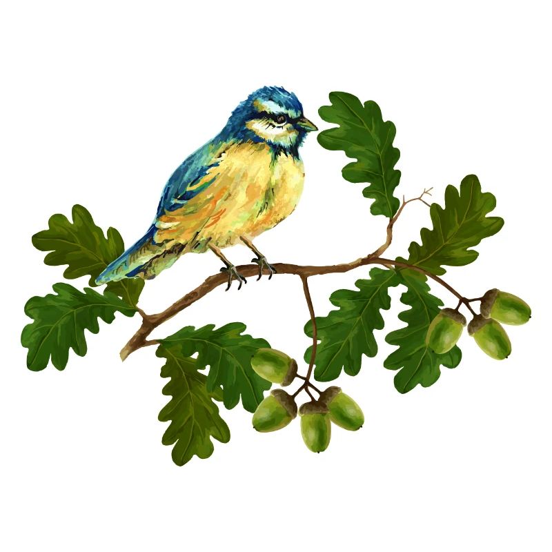 Sikorka-Vogel