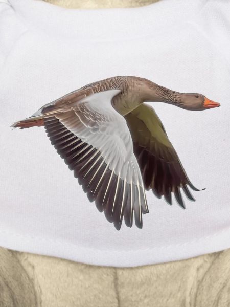 Goose