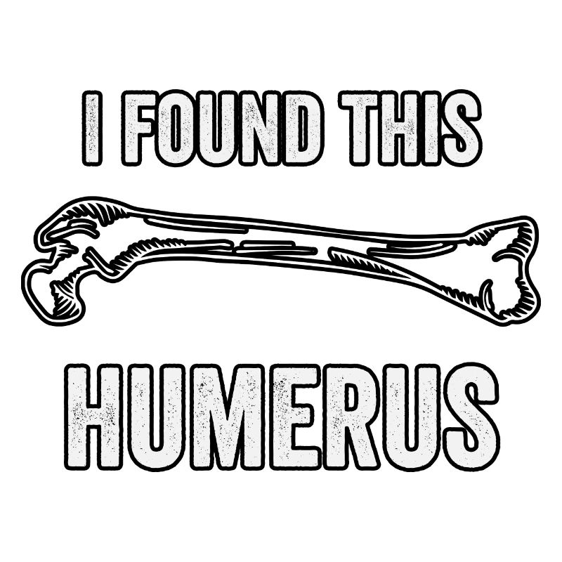 I found this humerus