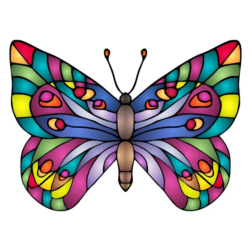 Bunter Schmetterling