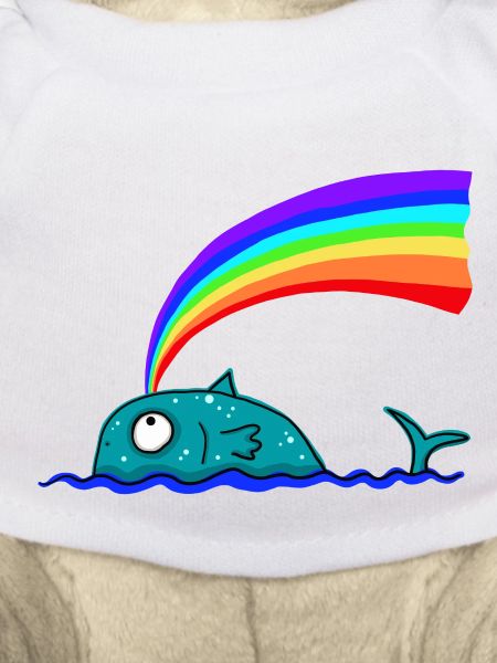 Regenbogen Wal