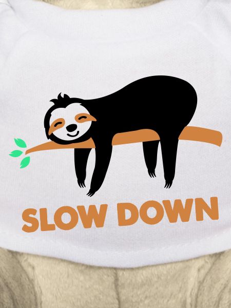 Sloth slow down